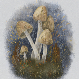 Осень. Волшебные грибы