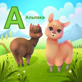 А - альпака