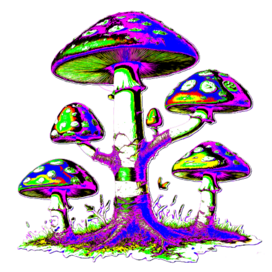 Грибное дерево 