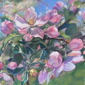 Яблоневый цвет