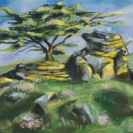 Солнечная поляна