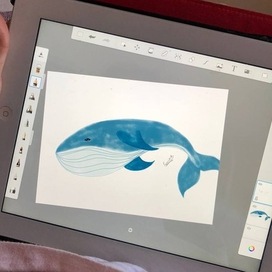 Иллюстрация кита 