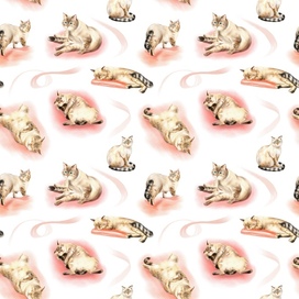 Cat pattern 