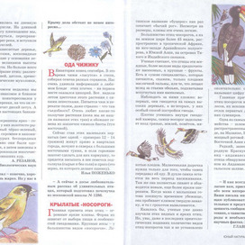 Птицы. Иллюстрации для журнала "Юный натуралист".Рубрика "Клуб почемучек". Художник:Марат Брызгалов.