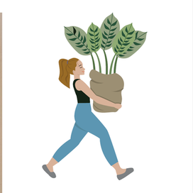 Иллюстративная айдентика для магазина Calathea