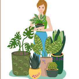 Иллюстрация по курсу Skillbox