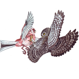 Встреча закадычных друзей.