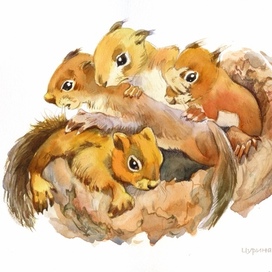 Тирле упал!