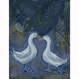 Влюбленные гуси 🤍