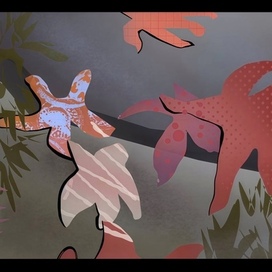 7. Морская звезда 