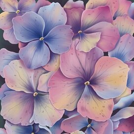 Иллюстрация гортензии