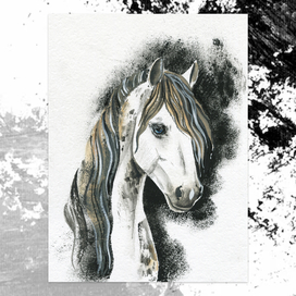 голова лошади скетчинг