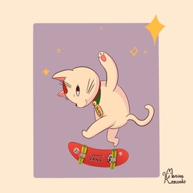 Skater cat