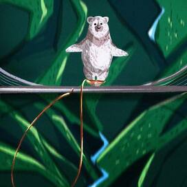 Медведь готовится  к прыжку