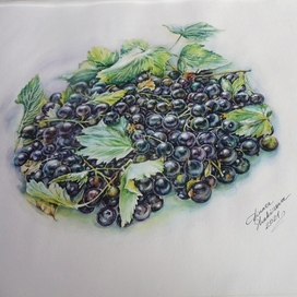 "Смородина"