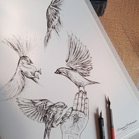 "Улетай на крыльях ветра..."