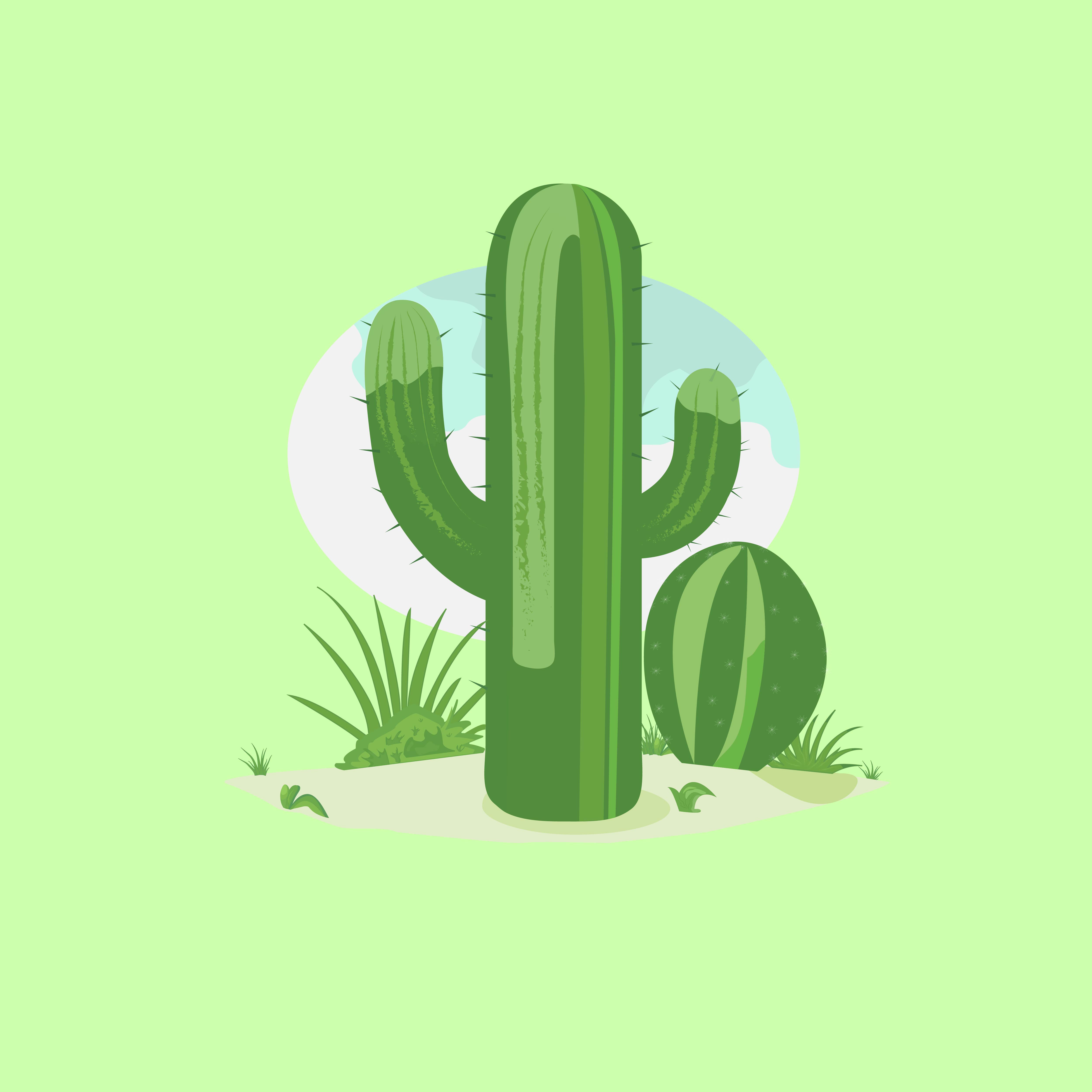 Пейзаж с кактусами