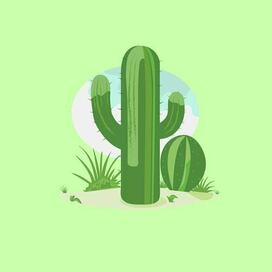 Пейзаж с кактусами