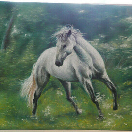 "Где принц?"