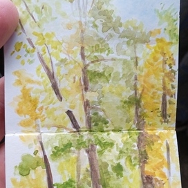 пленэр. Парк