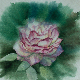 После дождя