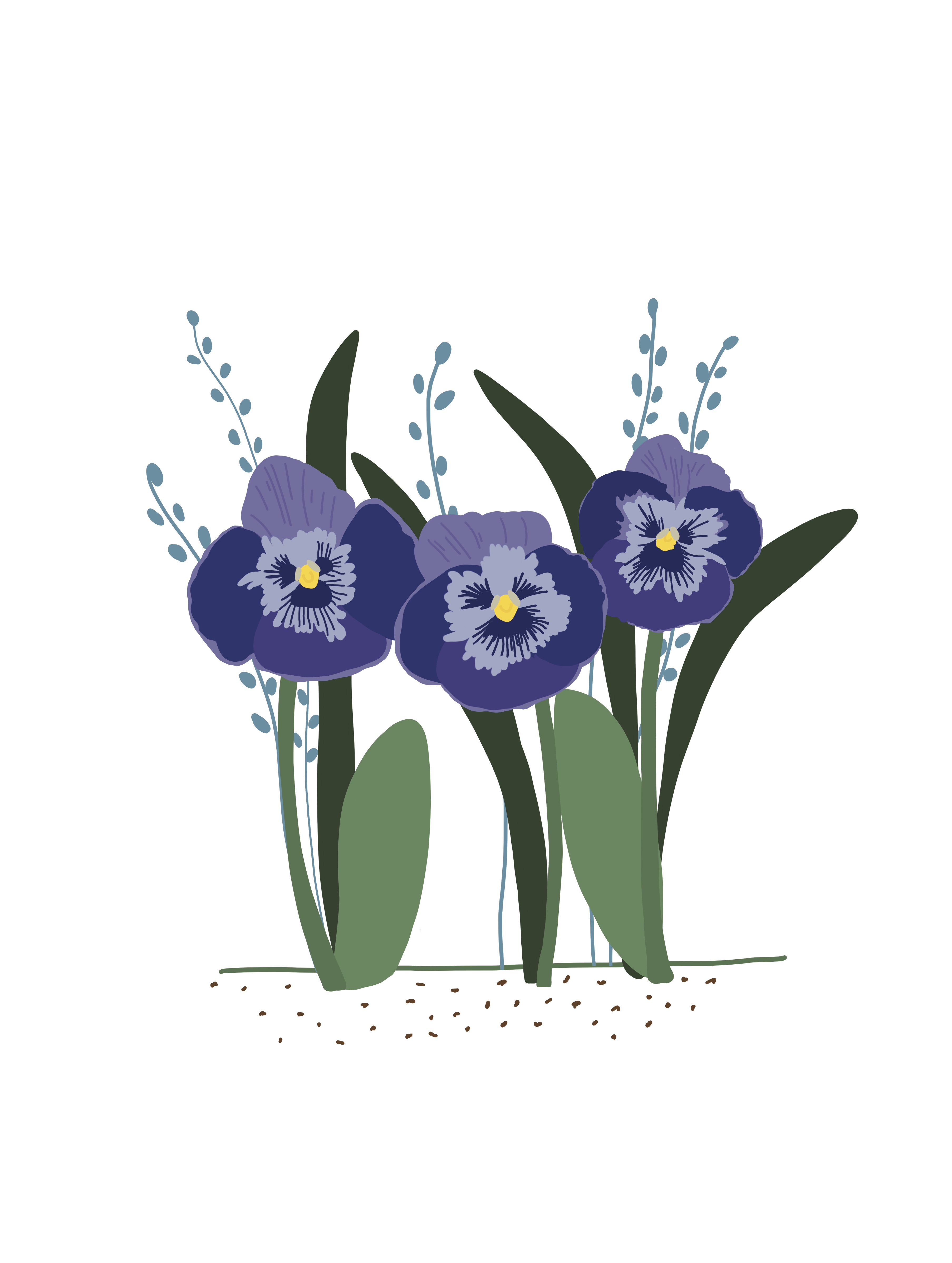 "Безудержные фиалки"