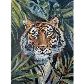 Тигр затаился