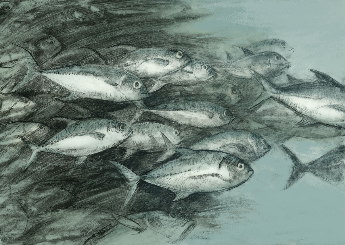 Иллюстрация к рассказу Эдгара По "Низвержение в Мальстрем"