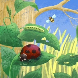 На полянке летом