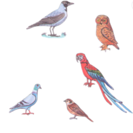 В журнал "А почему?". Рубрика " Игротека ". Редакция-Юный техник. Опубликовано в журнале. Тема: Кто из птиц умнее всех. Стиль иллюстрации декоративный с расчётом на уменьшение. Художник: Марат Брызгалов.