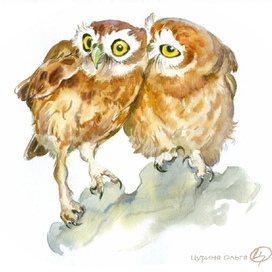 Совушки сплетничают о Нильсе