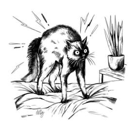 Ночной ТЫГЫДЫК