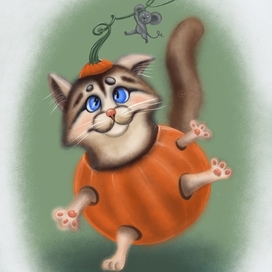 Кошачьи проверки