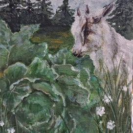 Козленок и капуста