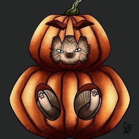 Осенний котик 