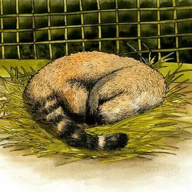 Крепкий сон