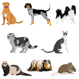 Векторные животные для поделок