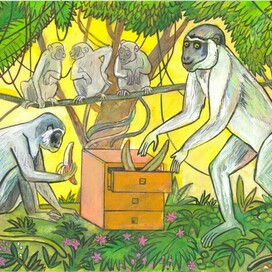 Обезьянки. Иллюстрация для детского познавательного журнала-"А почему?" Рубрика: "Про братьев наших меньших". : Анималистика. Художник Марат Брызгалов.