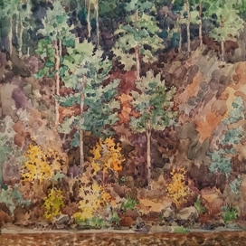 Сосновый холм 