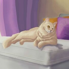 кот отдыхает