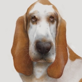 настроение недели