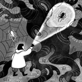 Девочка и паук