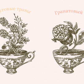 чайные иллюстрации