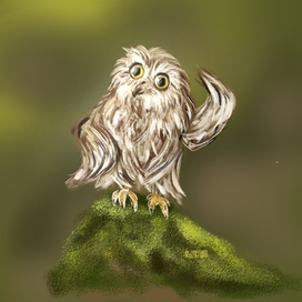 Совушка в думах