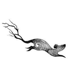 Мышонок ночи