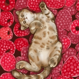 Кот в малине