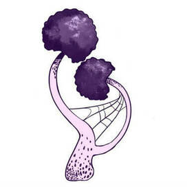 Серия "Грибы"