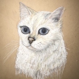 Наша принцесса 