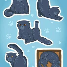 Стикеры кот