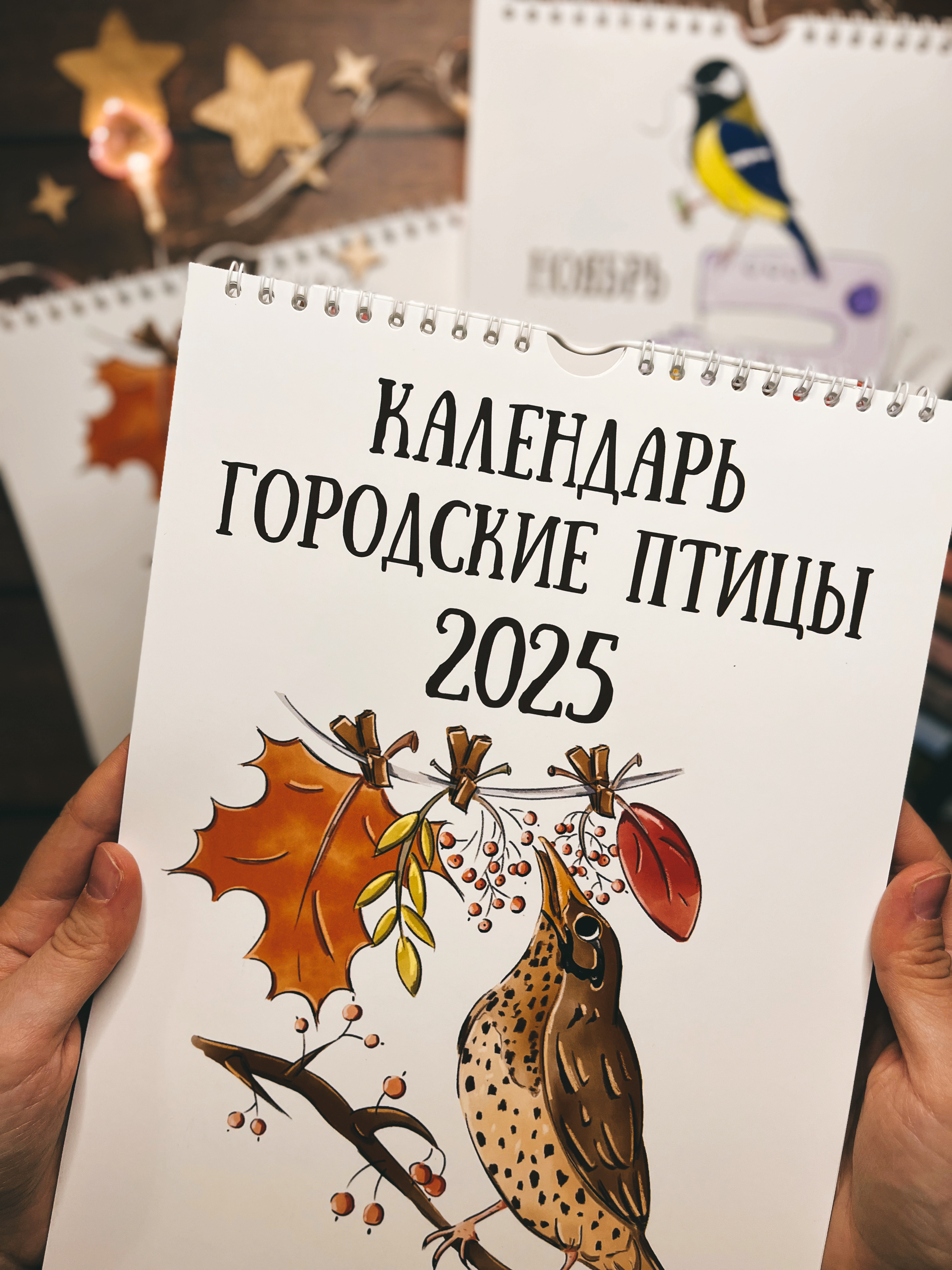 Календарь Птицы 2025